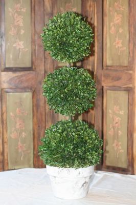 30 inch   Triple Ball Preserved Boxwood